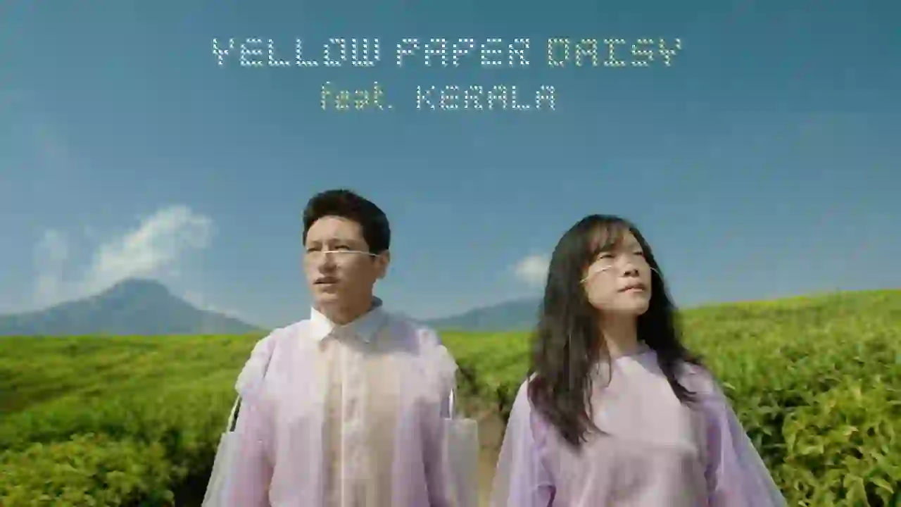 Yellow Paper Daisy Lyrics